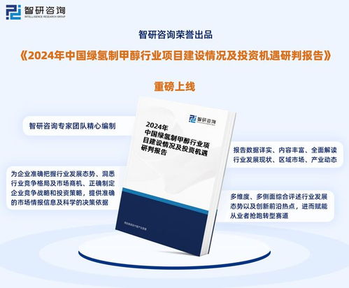 2024版中國綠氫制甲醇行業(yè)市場概況分析及投資前景分析報告